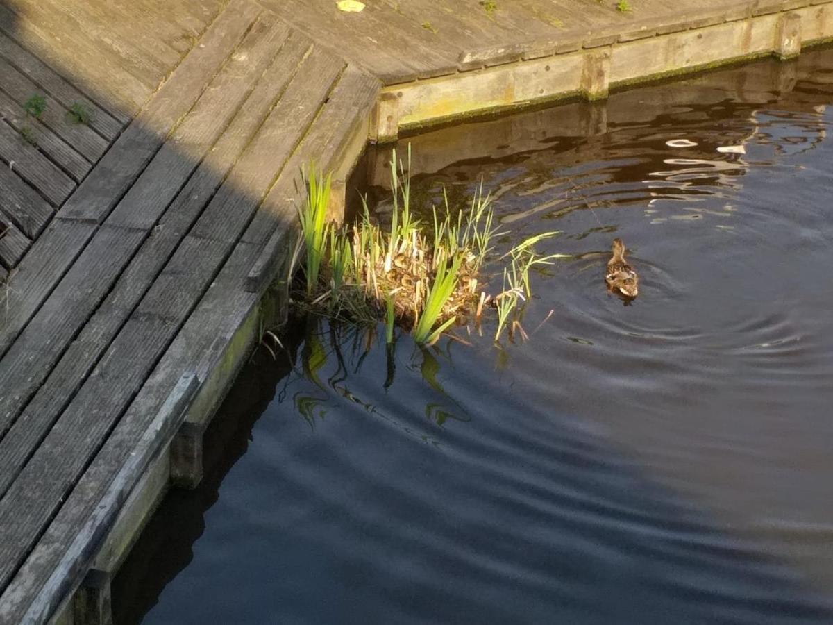 Huisje Aan Het Water, Omgeving Amsterdam Vila Zaandam Exterior foto